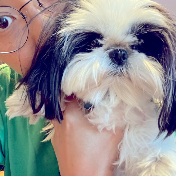 Meet your Posher, Elizabeth - Picture 3 of 4